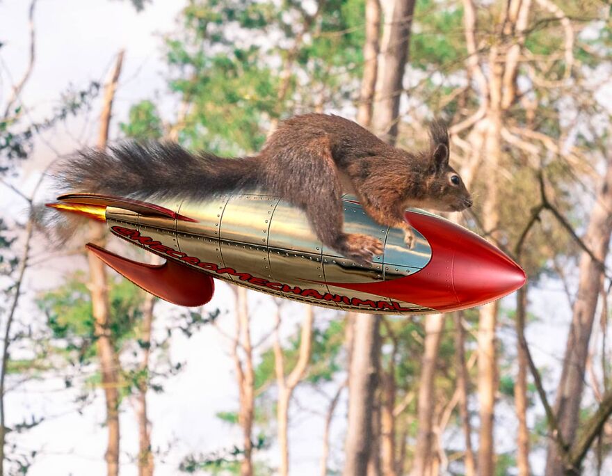 How Fast Can This Thing Go?