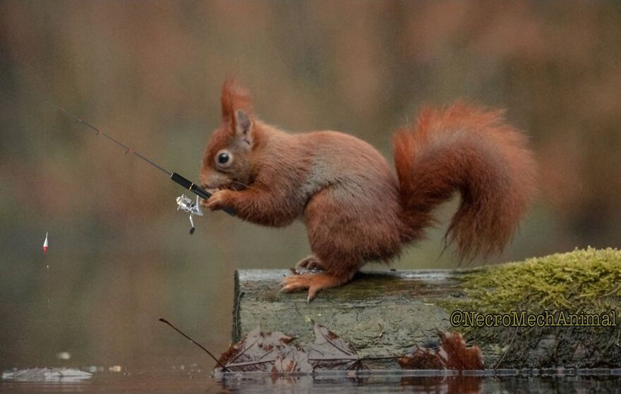 Got Anything Better Than Worms?