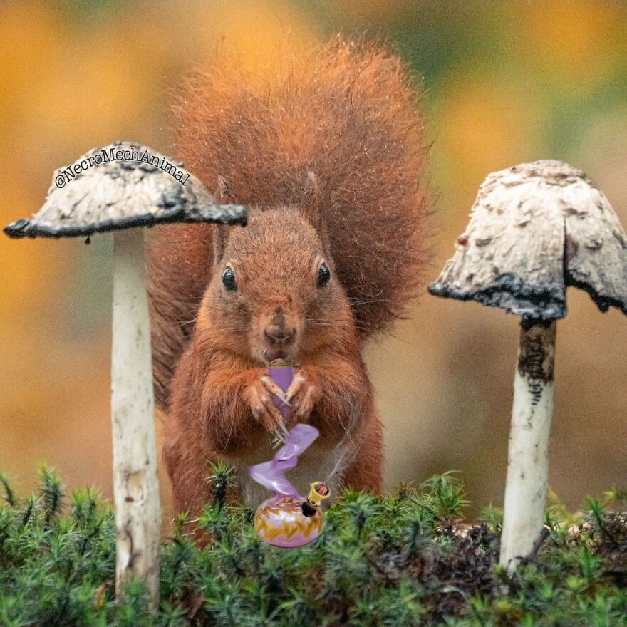 I Was Gonna Clean My Room Until I Got High