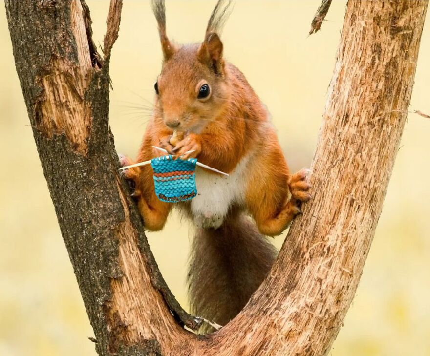 I Can Make Clothes With My Legs Wide Open