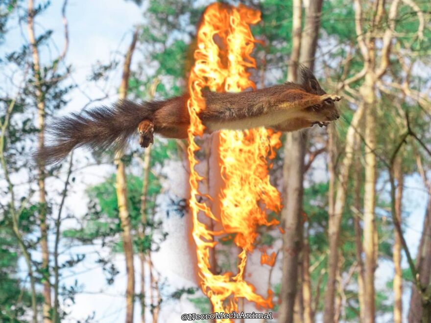 I Fell Into A Burning Ring Of Fire, I Went Down, Down, Down...