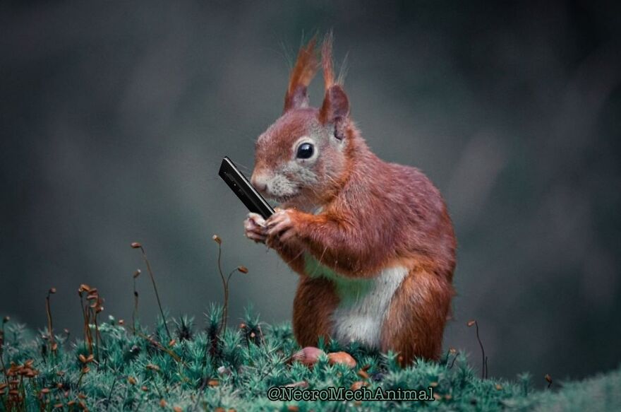 What...Only 25 Likes On My Recent Post? Stupid Instagram Algorithm!