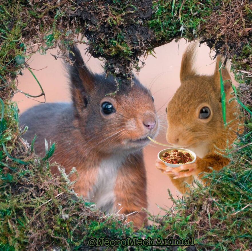 What Do You Think Amanda, Does It Need More Salt And Pepper ?