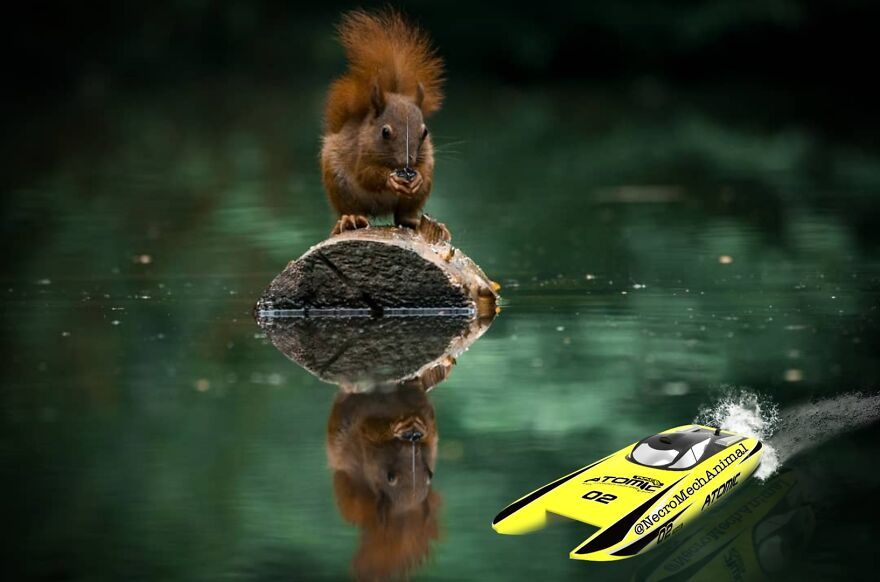 Damm This Was Cheap On Amazon