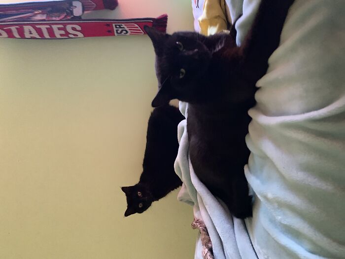 Jazzy (L) And Sassy (R)