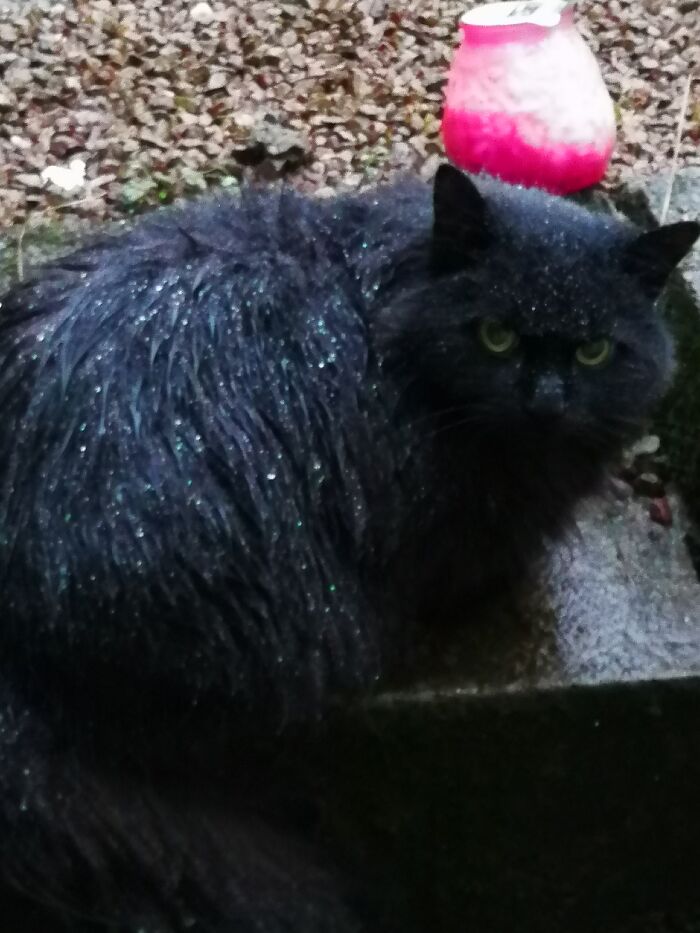 "Was It You That Made It Rain?"