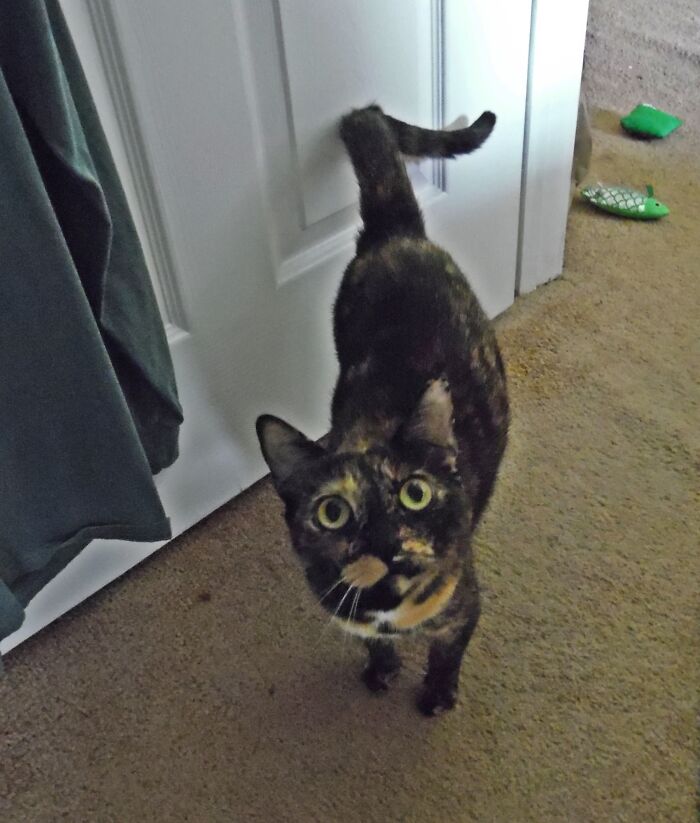 Looking Directly Into Your Eyes...