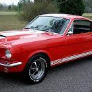 williampitre_1 avatar