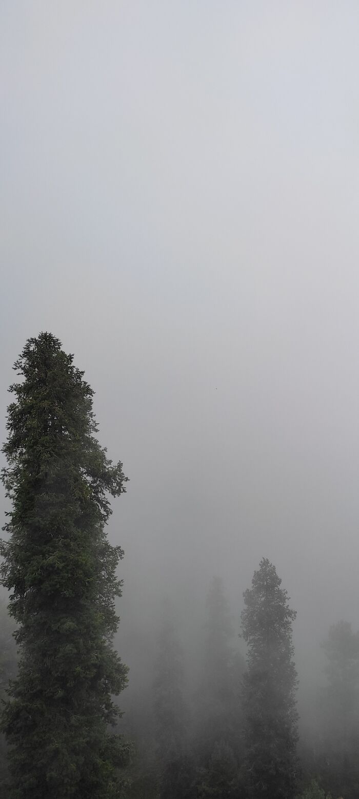Nathia Gali, Pakistan