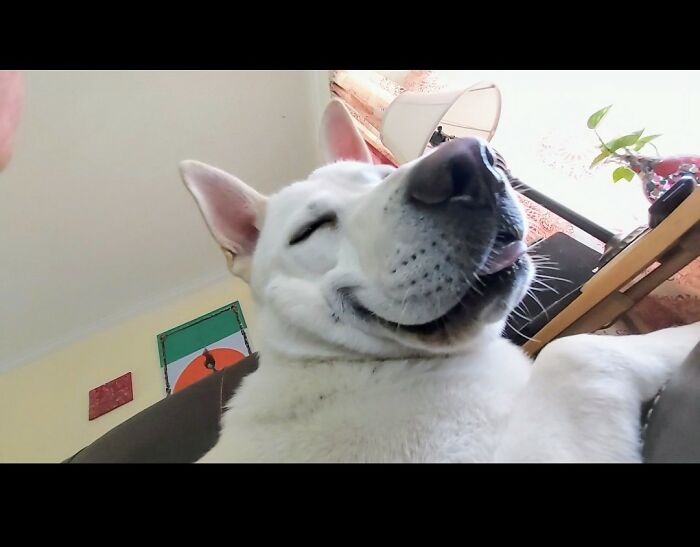 The Good Life...with Air Conditioning!