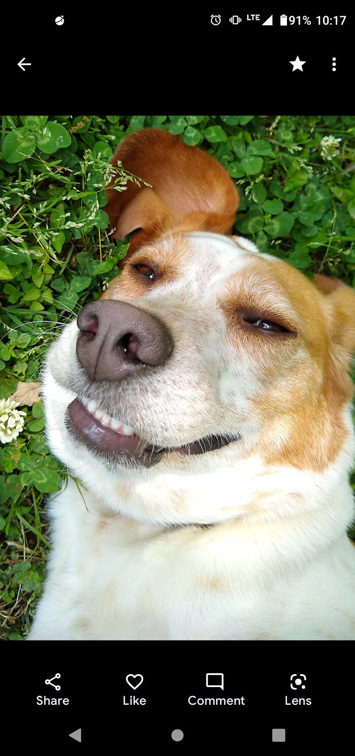 This Is Atticus. I Have More But This One's My Favorite.