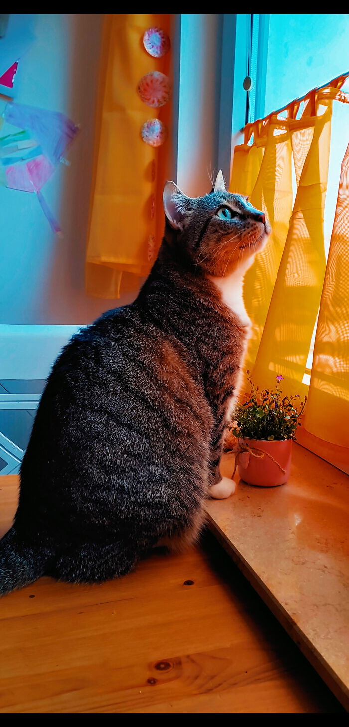 Her Name Is Bitch. She's A Queen.