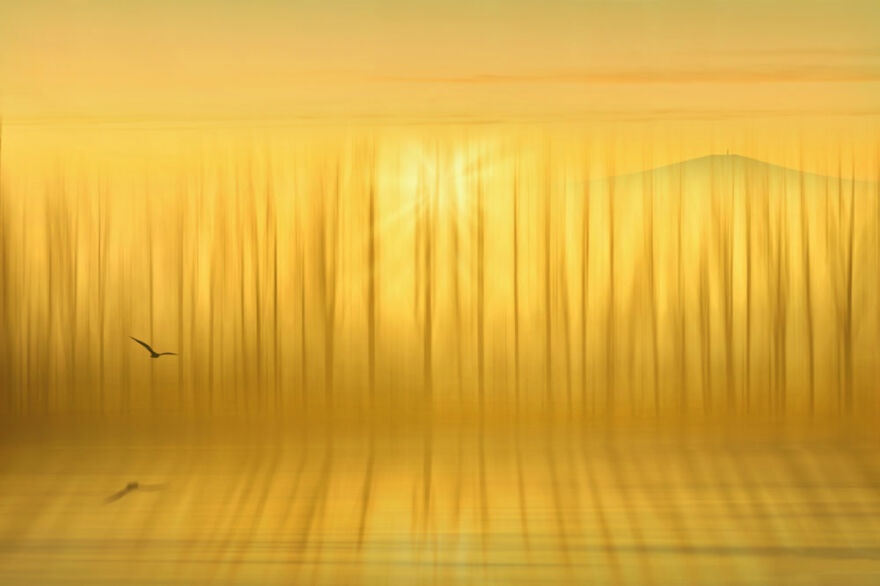 Landscapes – Best Entry By Zdeněk Vošický. Sluncem Zalitá Krajina