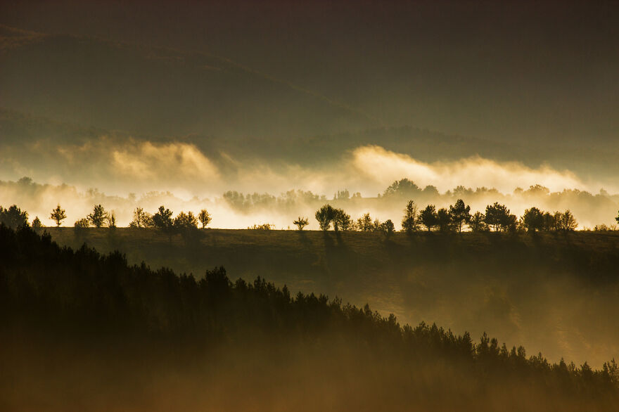 Nature - By Éva Torpis-Bóta. Egy Sorban
