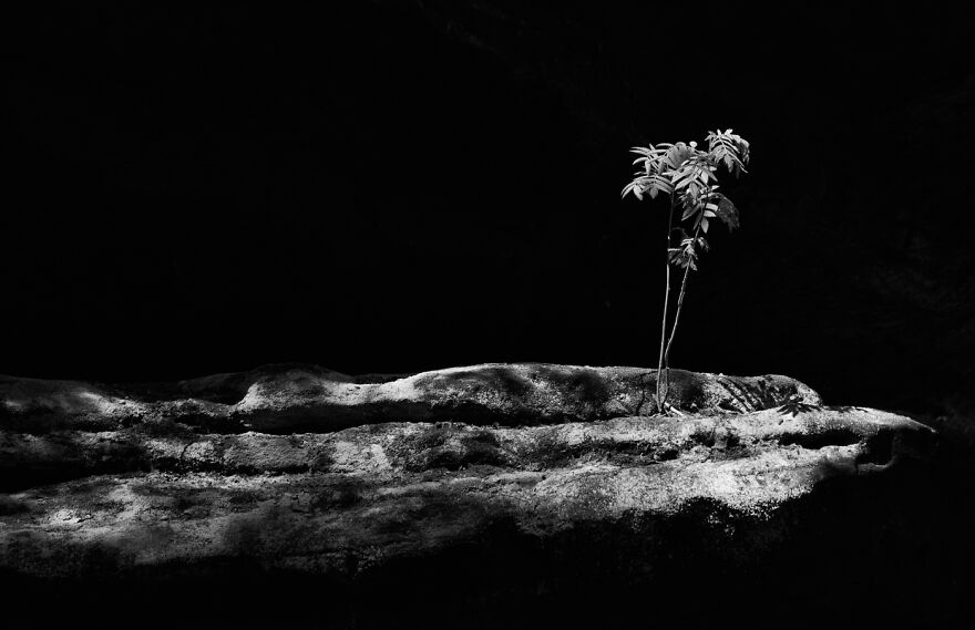 Nature - By Jan Kutílek. Trochu Slunce