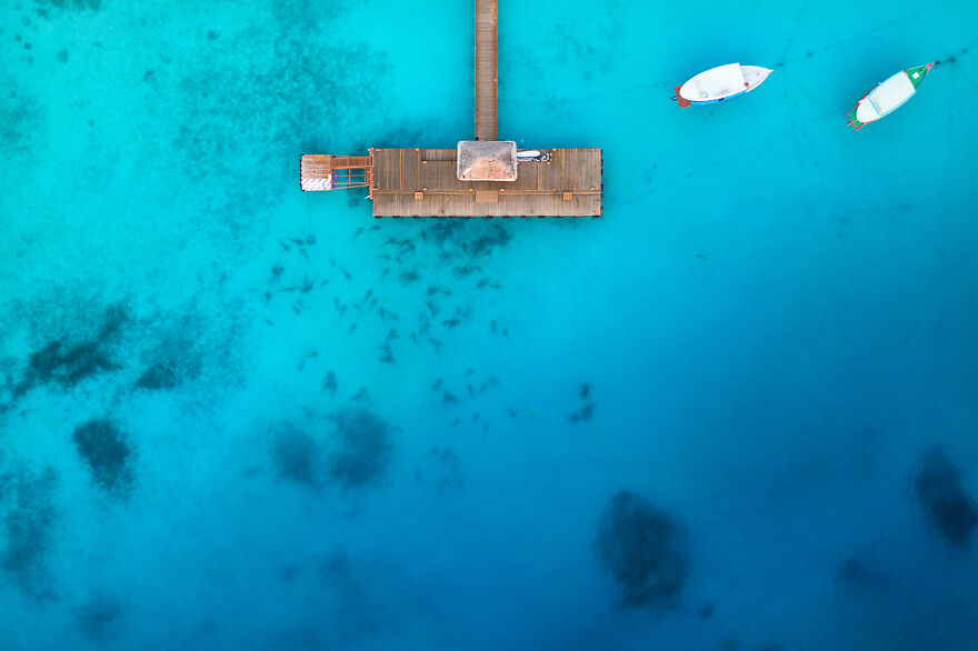 Aerial Photos - By Michael Mauron. Hundreds Of Sharks Around A Pantoon