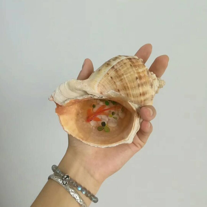 The Artist Creates Amazing Paintings Of Fish In 3D Sculptures (38 Pics)