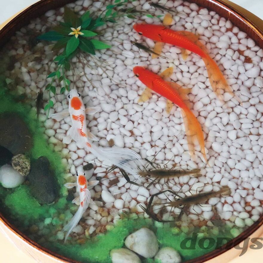 The Artist Creates Amazing Paintings Of Fish In 3D Sculptures (38 Pics)