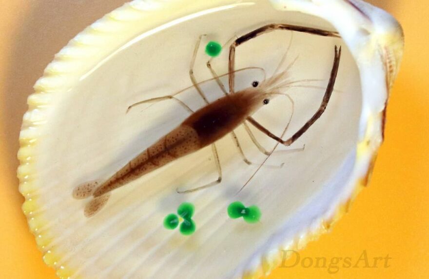 The Artist Creates Amazing Paintings Of Fish In 3D Sculptures (38 Pics)