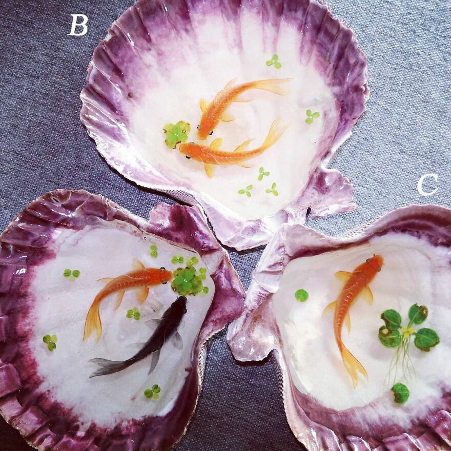 The Artist Creates Amazing Paintings Of Fish In 3D Sculptures (38 Pics)