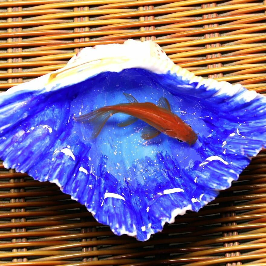 The Artist Creates Amazing Paintings Of Fish In 3D Sculptures (38 Pics)