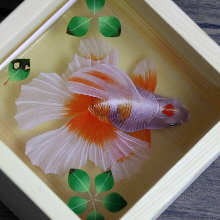 The Artist Creates Amazing Paintings Of Fish In 3D Sculptures (38 Pics)