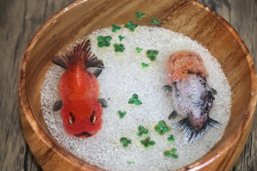 The Artist Creates Amazing Paintings Of Fish In 3D Sculptures (38 Pics)