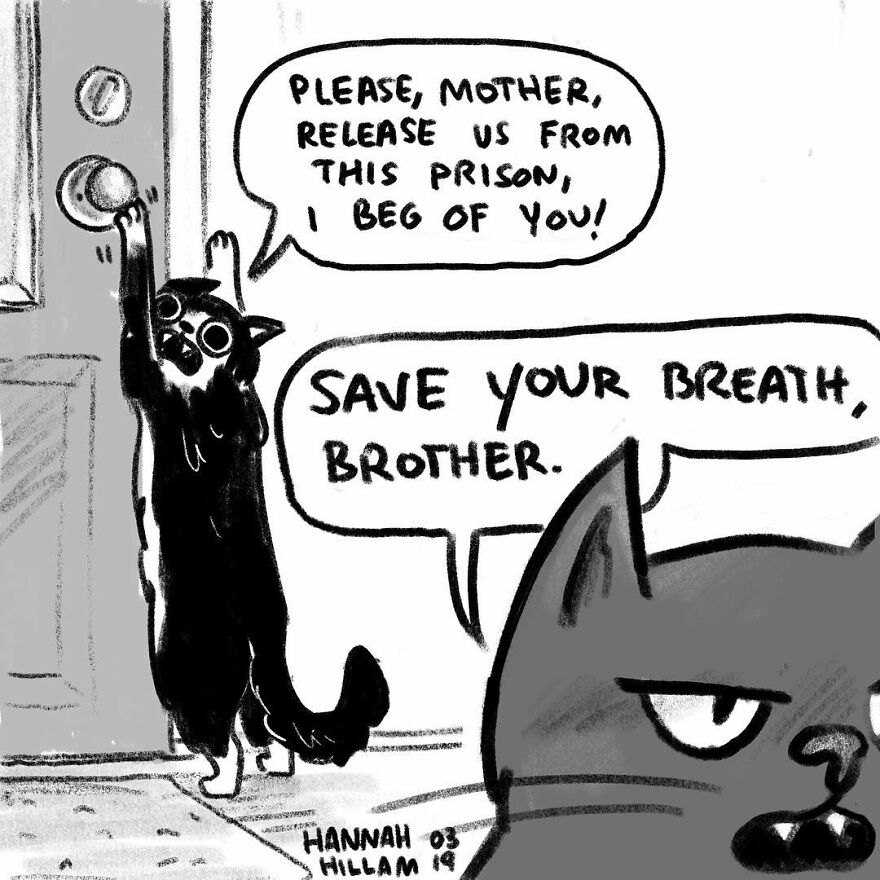 This Artist Illustrates The Problems All Girls Have And Is Very Real (New Pics)