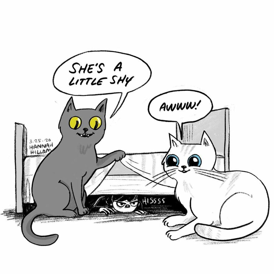 This Artist Illustrates The Problems All Girls Have And Is Very Real (New Pics)