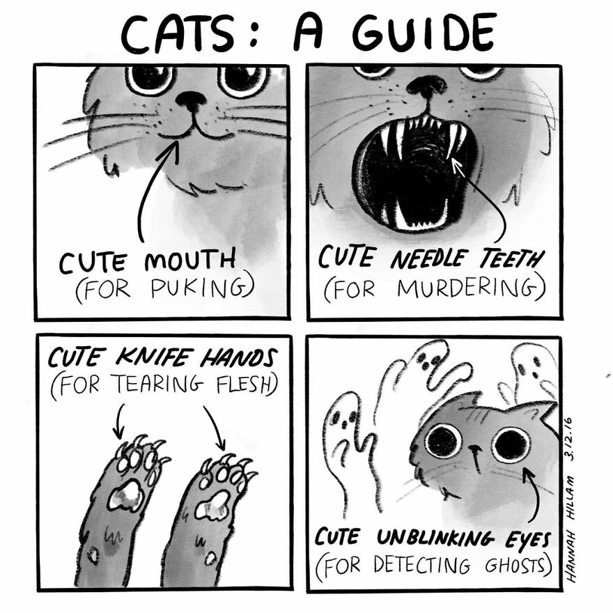 This Artist Illustrates The Problems All Girls Have And Is Very Real (New Pics)