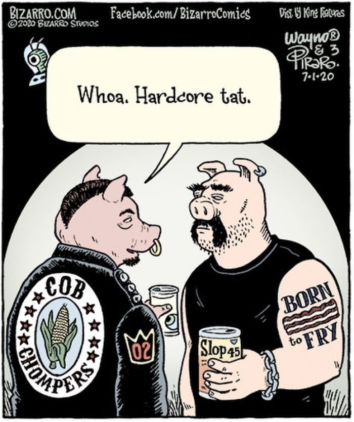 This Artist Makes Us Laugh With Single-Panel Comics, Smart And Sarcastic (New Pics)