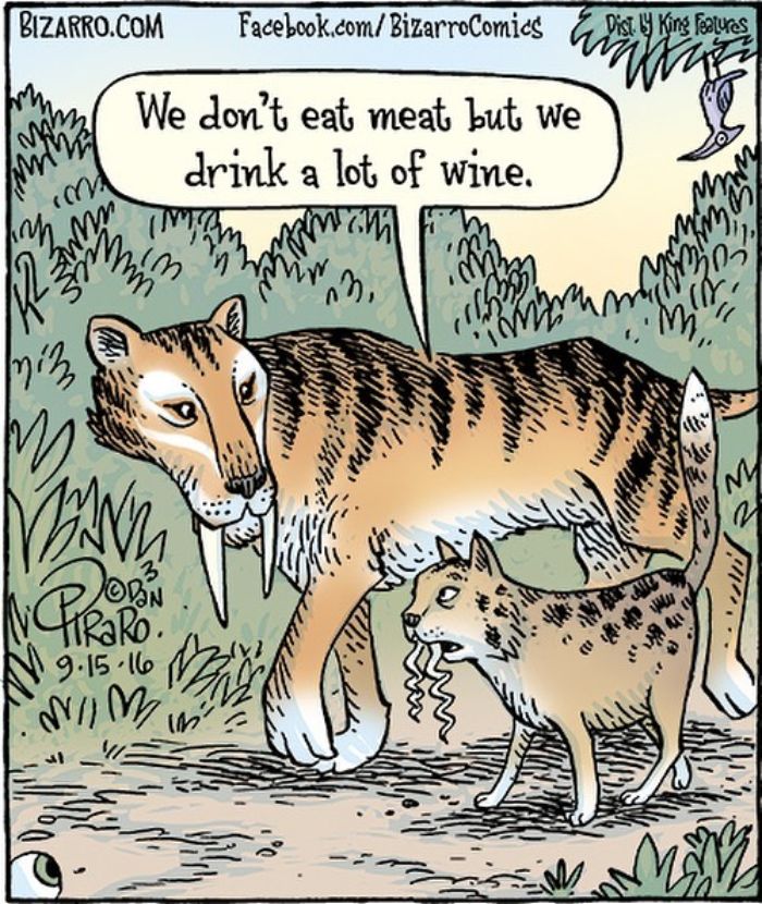 This Artist Makes Us Laugh With Single-Panel Comics, Smart And Sarcastic (New Pics)