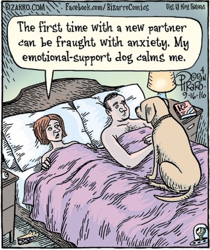 This Artist Makes Us Laugh With Single-Panel Comics, Smart And Sarcastic (New Pics)