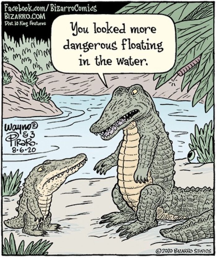 This Artist Makes Us Laugh With Single-Panel Comics, Smart And Sarcastic (New Pics)