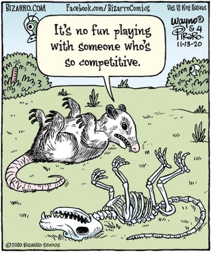 This Artist Makes Us Laugh With Single-Panel Comics, Smart And Sarcastic (New Pics)