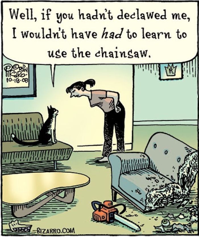 This Artist Makes Us Laugh With Single-Panel Comics, Smart And Sarcastic (New Pics)