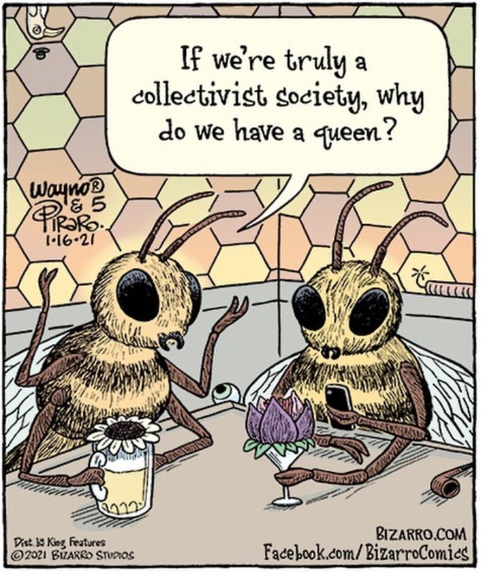 This Artist Makes Us Laugh With Single-Panel Comics, Smart And Sarcastic (New Pics)