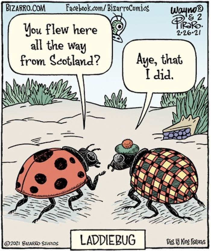 This Artist Makes Us Laugh With Single-Panel Comics, Smart And Sarcastic (New Pics)