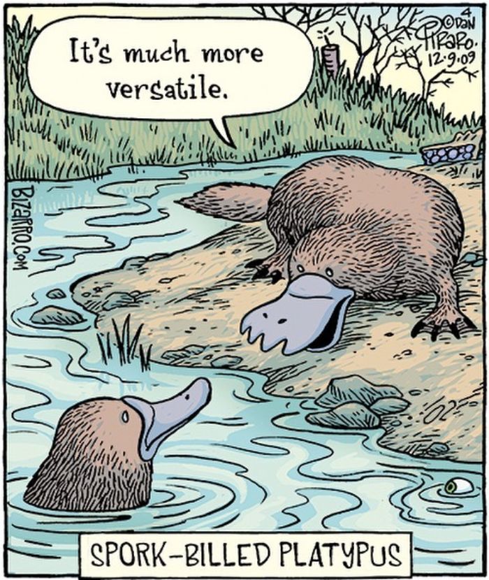 This Artist Makes Us Laugh With Single-Panel Comics, Smart And Sarcastic (New Pics)