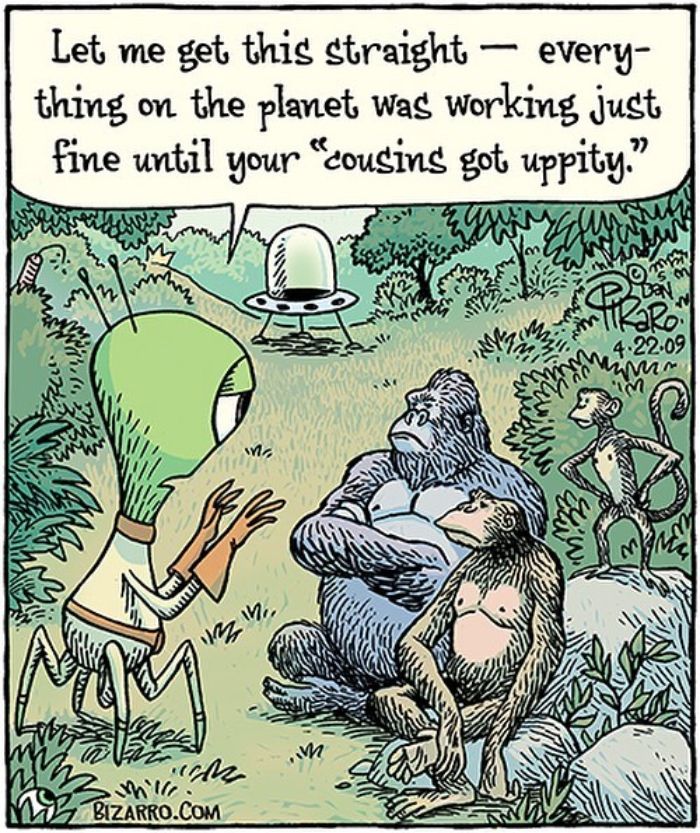 This Artist Makes Us Laugh With Single-Panel Comics, Smart And Sarcastic (New Pics)