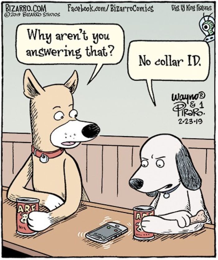 This Artist Makes Us Laugh With Single-Panel Comics, Smart And Sarcastic (New Pics)