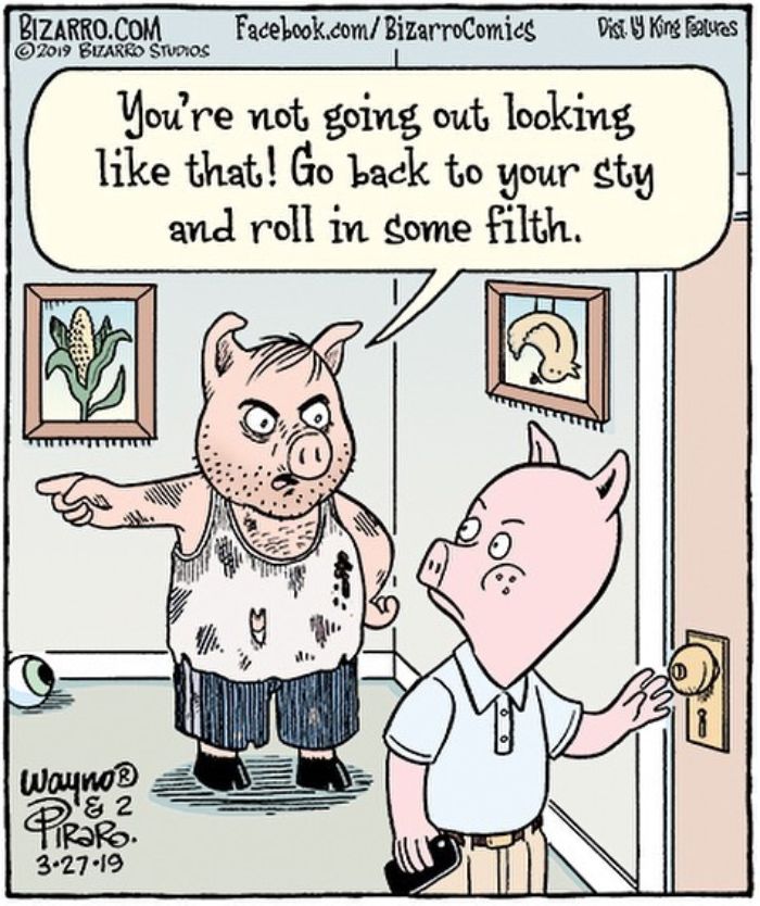 This Artist Makes Us Laugh With Single-Panel Comics, Smart And Sarcastic (New Pics)