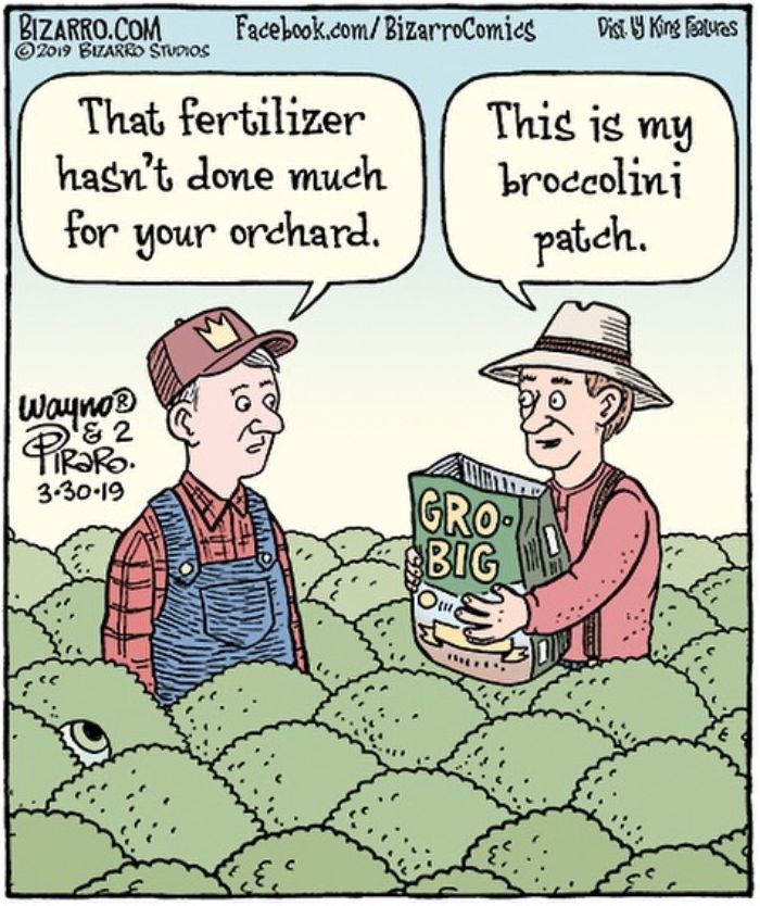 This Artist Makes Us Laugh With Single-Panel Comics, Smart And Sarcastic (New Pics)