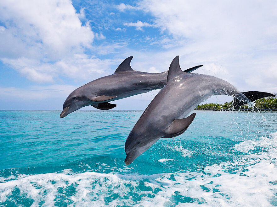 Today Is India's National Day !! Let's Celebrate With Fun Facts About This Fascinating Country