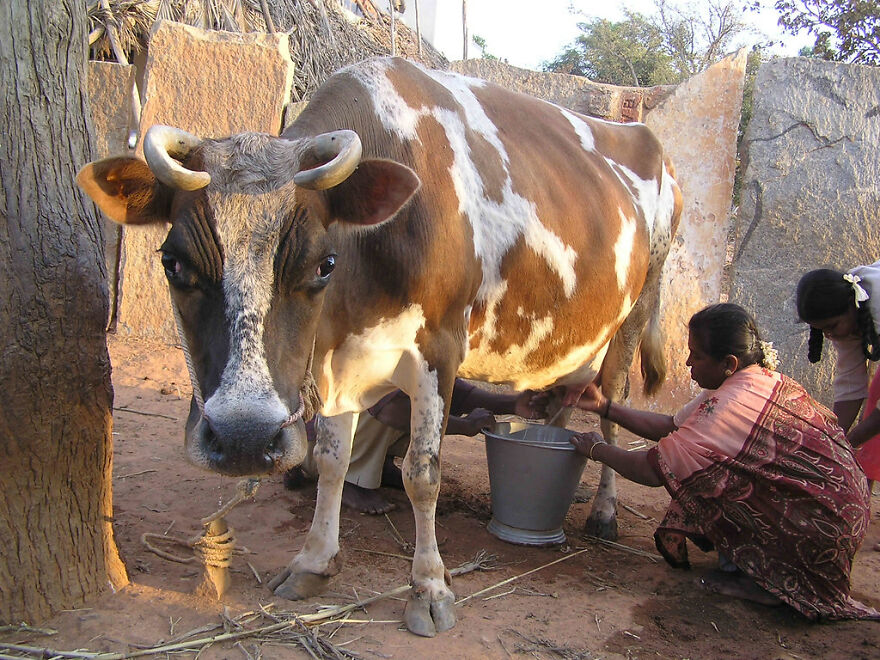 Today Is India's National Day !! Let's Celebrate With Fun Facts About This Fascinating Country