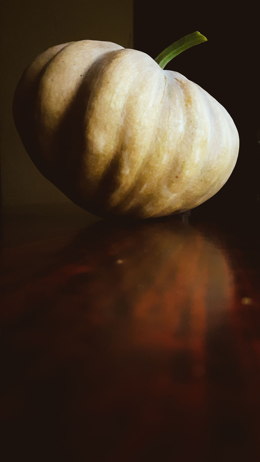 Hey Pandas! Wanted To Show Some Pics I Clicked With A Not So Good Camera Hey Pandas! Wanted To Show Some Pics I Clicked With A Not So Good Camera