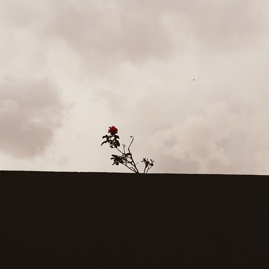 Hey Pandas! Wanted To Show Some Pics I Clicked With A Not So Good Camera