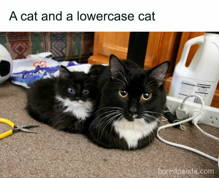 This Isn’t Even That Funny…