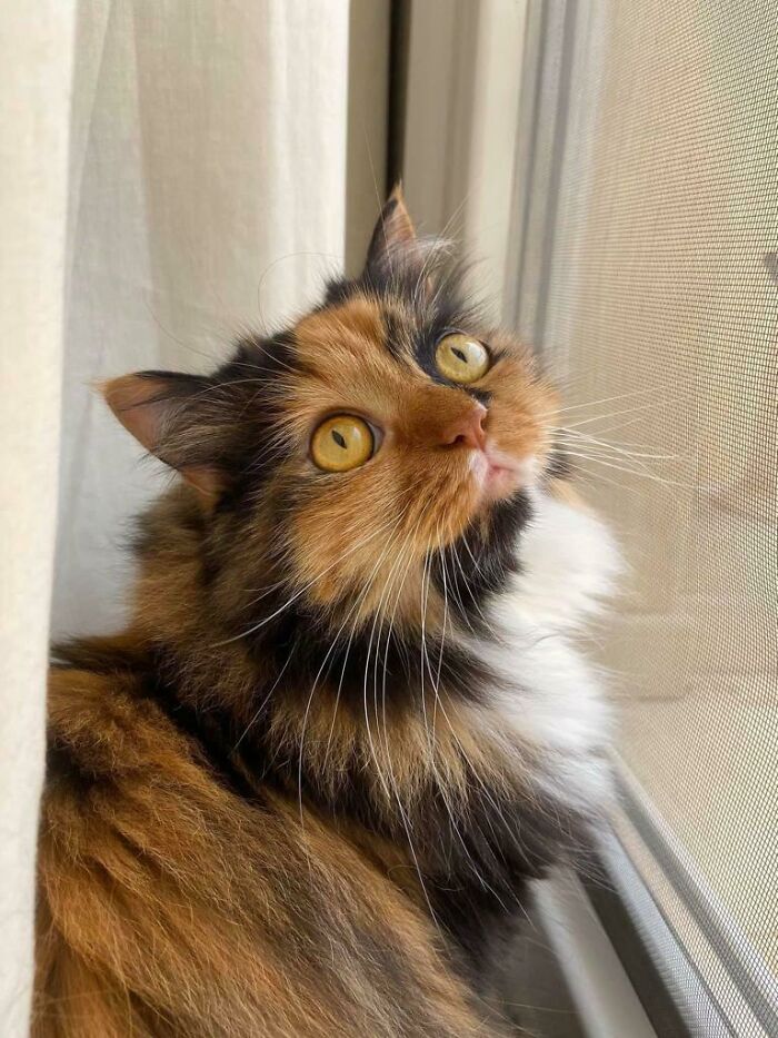 Took A Break From Bird-Watching. Beautiful Bella