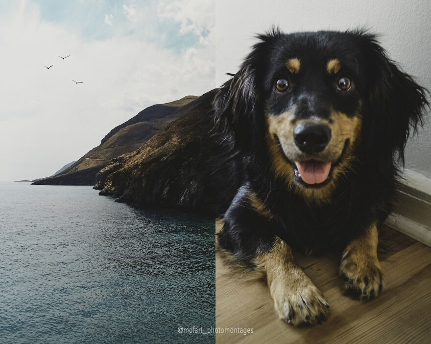 Whiskey On The Rocks